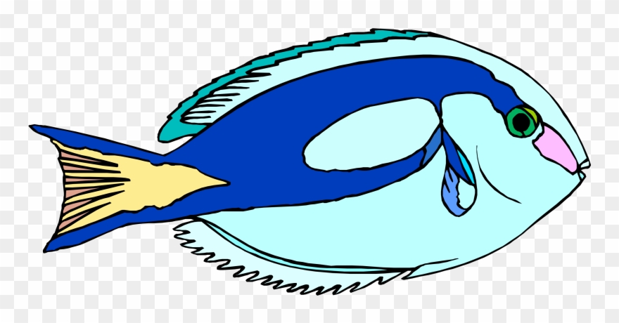 Download - - ปลา น้ำ จืด การ์ตูน Png Clipart