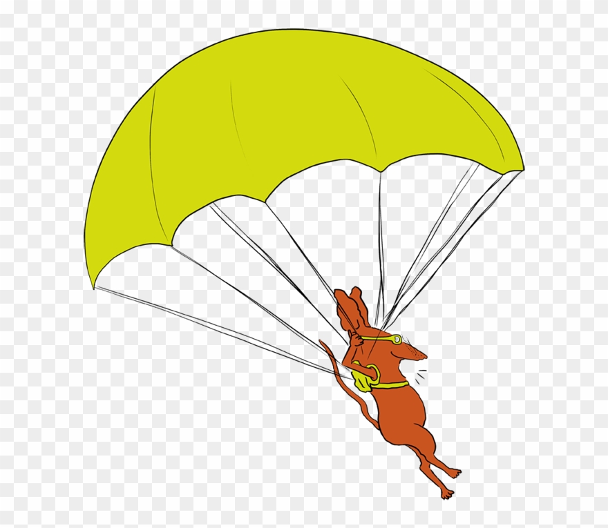 In New Zealand The Professor Took Up Skydiving - Clip Art - Png Download