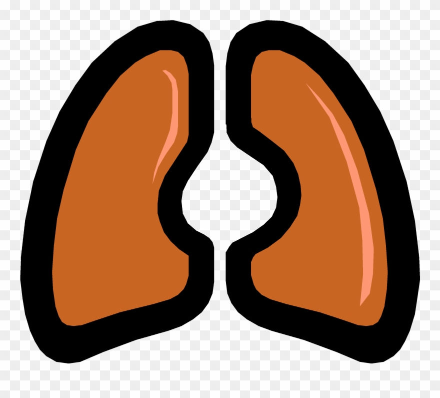 These Need To Be Assessed In Order To Determine If - Lung Clipart
