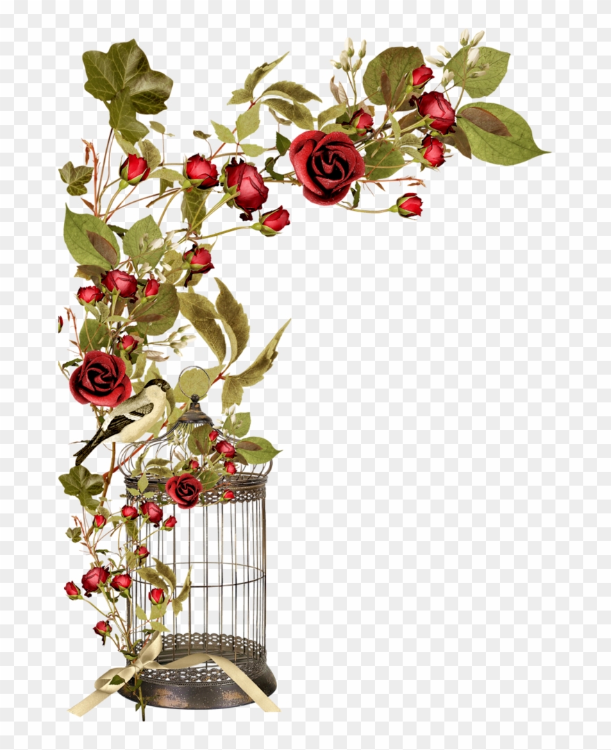 Borders * Cantoneiras * Cluster - Jaula Con Rosas En Png Clipart
