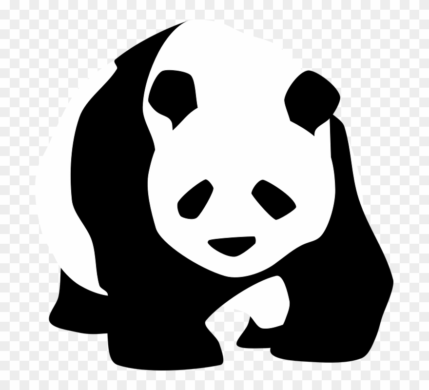 Endangered Species On The Rise - Panda Black And White Clipart