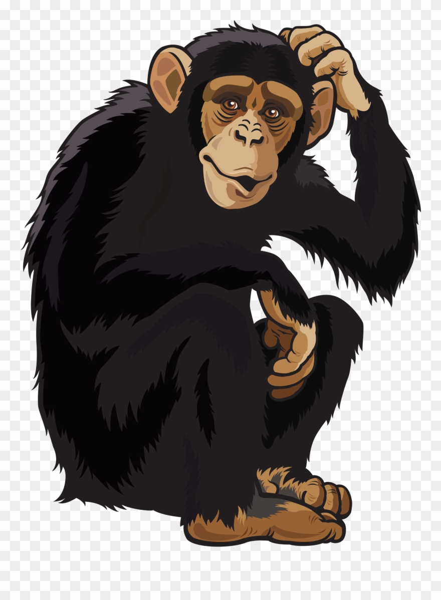 Transparent Monkey Clip Art - What's So Great About Jane Goodall? - Png Download
