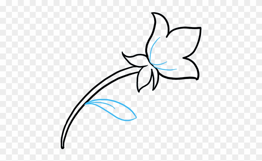 Draw Mothers Day Flower Software Help - Drawing Clipart
