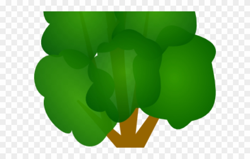 Tree Clipart Clipart Gambar - Vektor Pohon Png Transparent Png