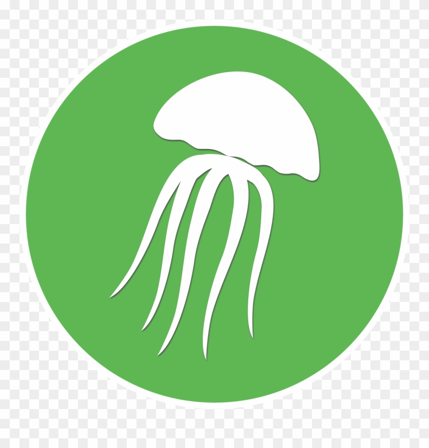 The Jellyfish Perdido Key, Fl - The Jellyfish Restaurant Clipart