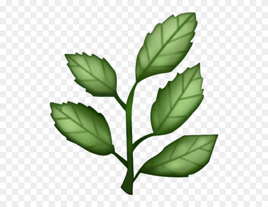 Download Herb Png Clipart Emoji Plants Transparent Png (508382