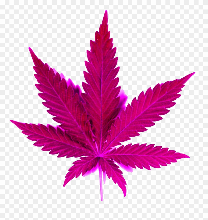 I - Whats In Your Bag? Tile Coaster Clipart