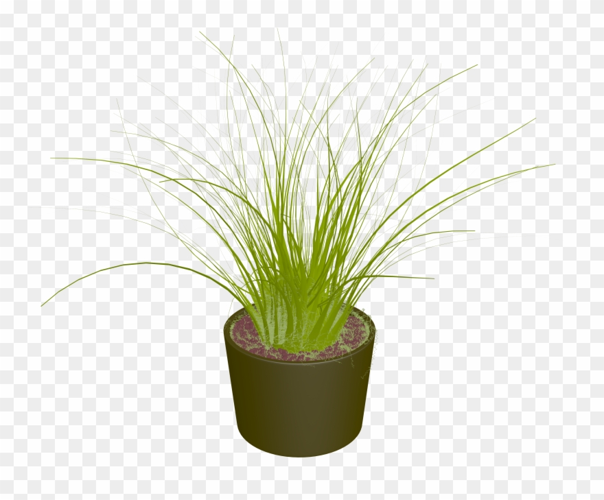 Pot Plant Clipart Land Clipart - Ikea Gras - Png Download