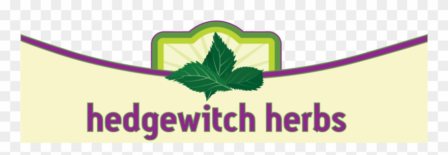 Graphic Design Clipart