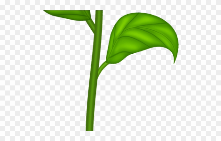 Orange Flower Clipart Day - Clip Art - Png Download