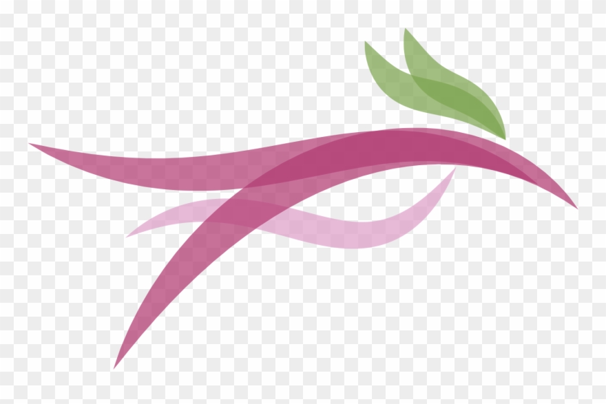 I Understand How Special Your Pets Are And Can't Wait - Background Herbal Png Clipart