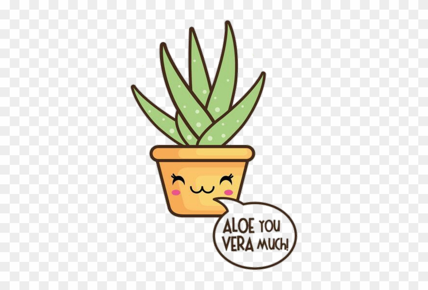 Aloevera Kawaii Plant Cute U Guys Reeeeal - Aloe Vera Drawing Cute Clipart
