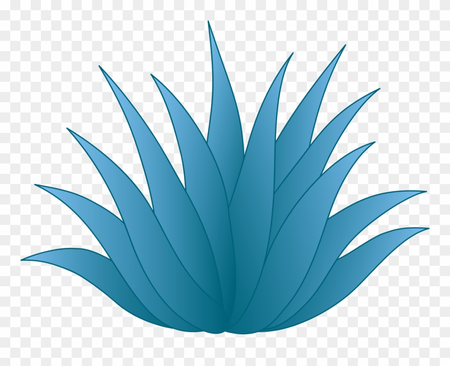 Agave Clip Art - Png Download