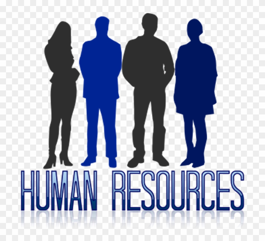 Hr Management Cliparts - Zarządzanie Zasobami Ludzkimi Studia - Png Download
