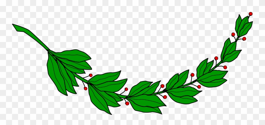 Laurel Wreath Computer Icons Bay Laurel Branch Drawing - Laureles Del Escudo De El Salvador Clipart