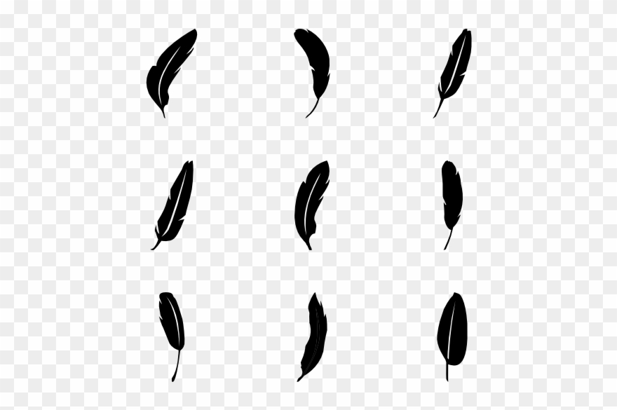 Feathers - Feather Icons Clipart