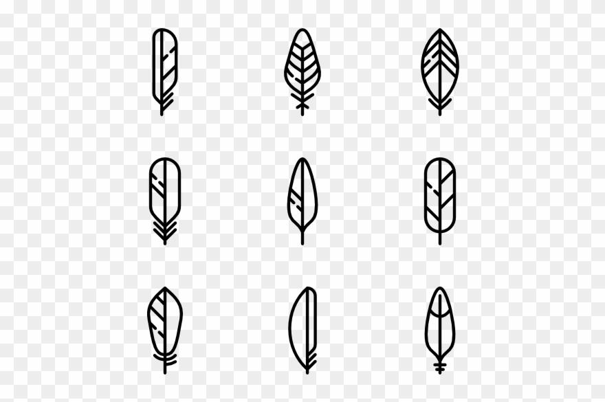 Feathers Set - Drawing Clipart