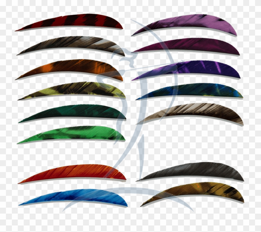 Ozark Feathers 3" Rw - Ozark Clipart