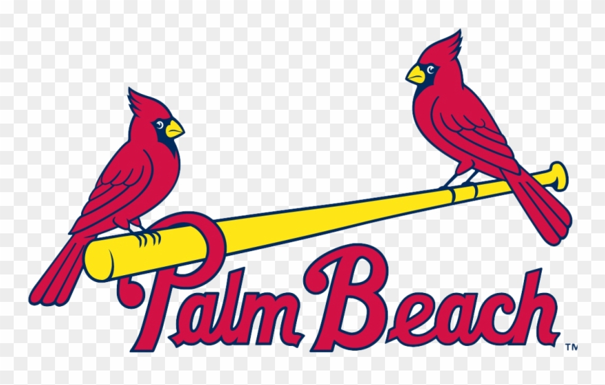 Palm Beach Cardinals Logo Clipart