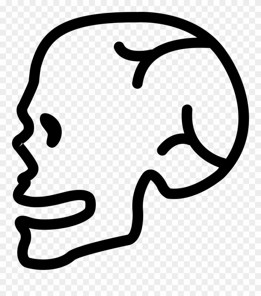 Png File - Skull Clipart