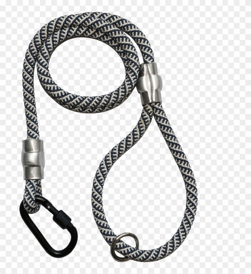 Next - Leash Clipart