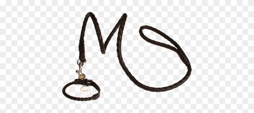 Because My Dog Is Spoiledbottega Veneta Small Woven - Dog Clipart