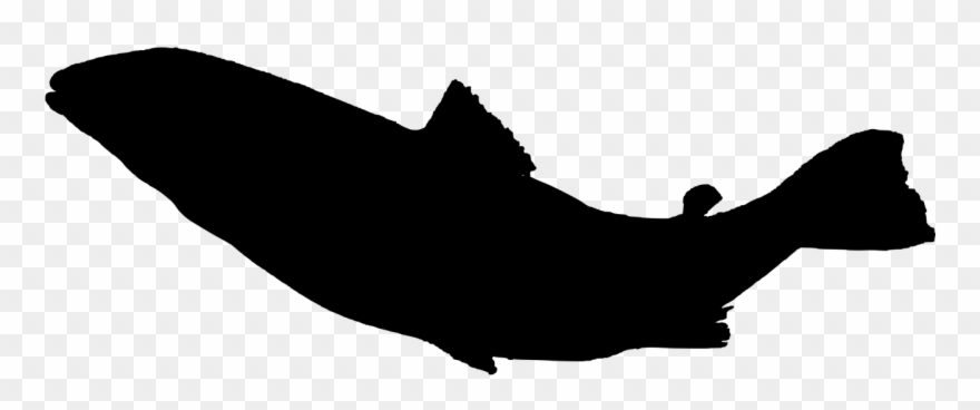 Fish Sea Life Food - Silhouette Poisson Png Clipart