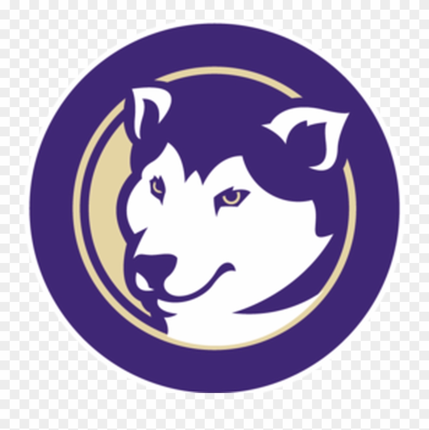 Husky Clipart University Washington - Uw Husky - Png Download
