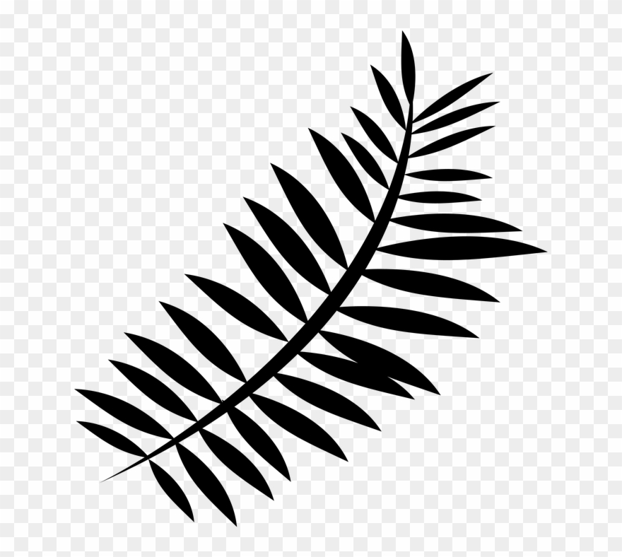 Red Fern Leaf Shower Curtain Clipart