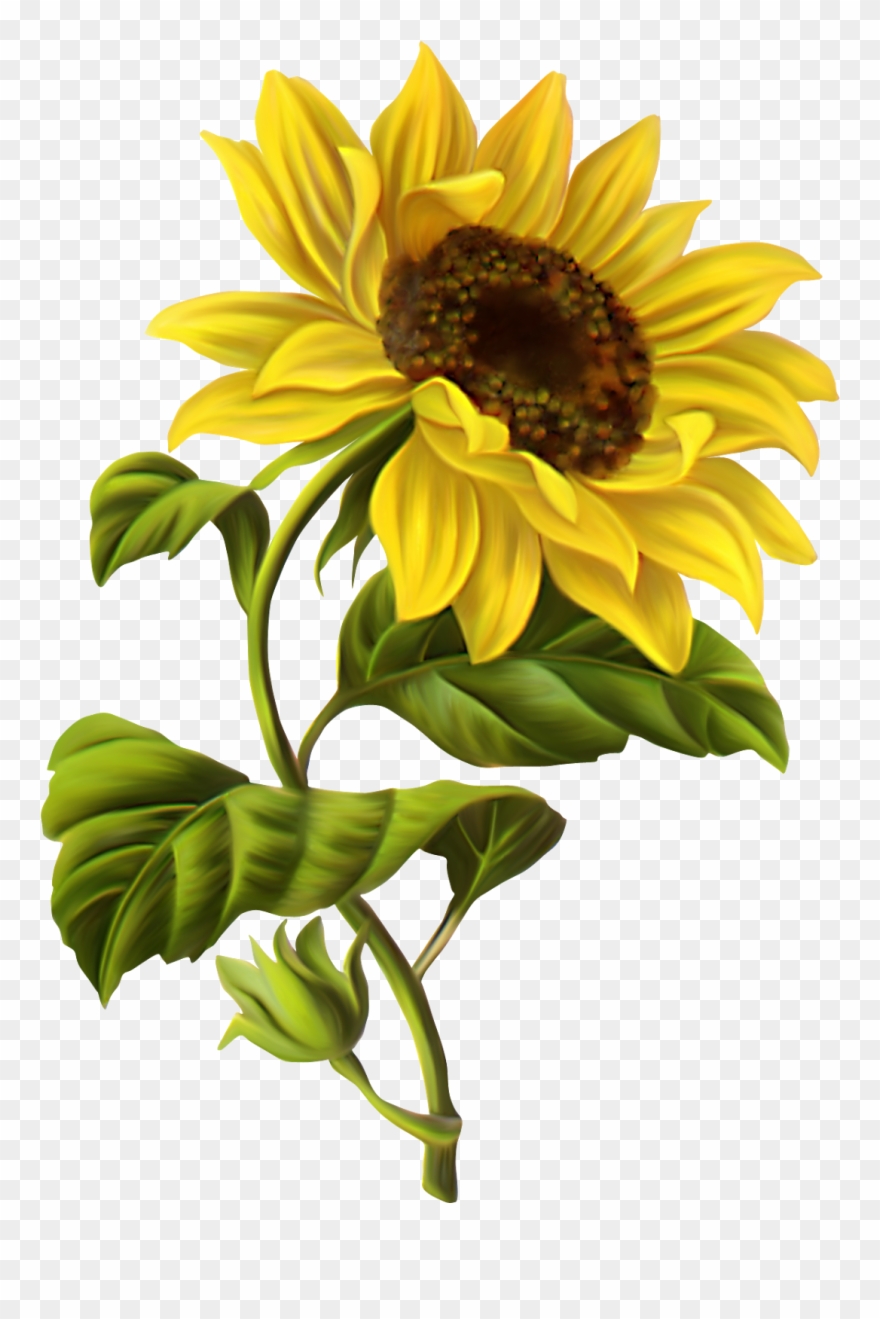 Feeling Of Fall - Sunflower Illustration Clipart