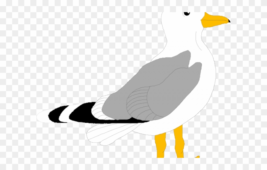 Seagull Clipart Small - Bird Clip Art - Png Download