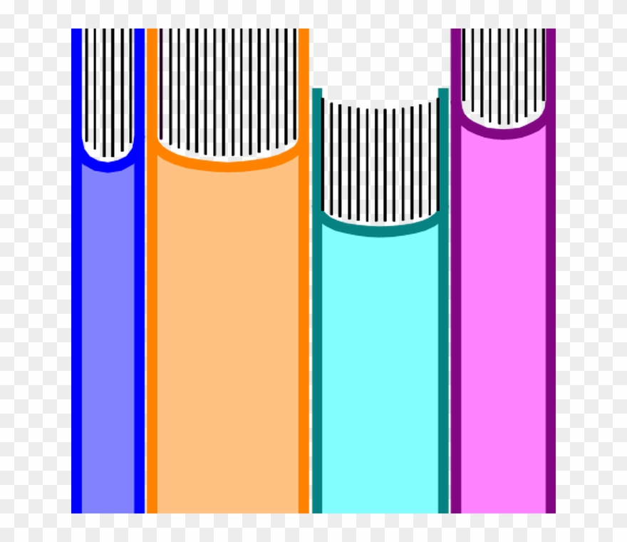 Pictures Of Library Shelves Clipartsco - Shelf - Png Download