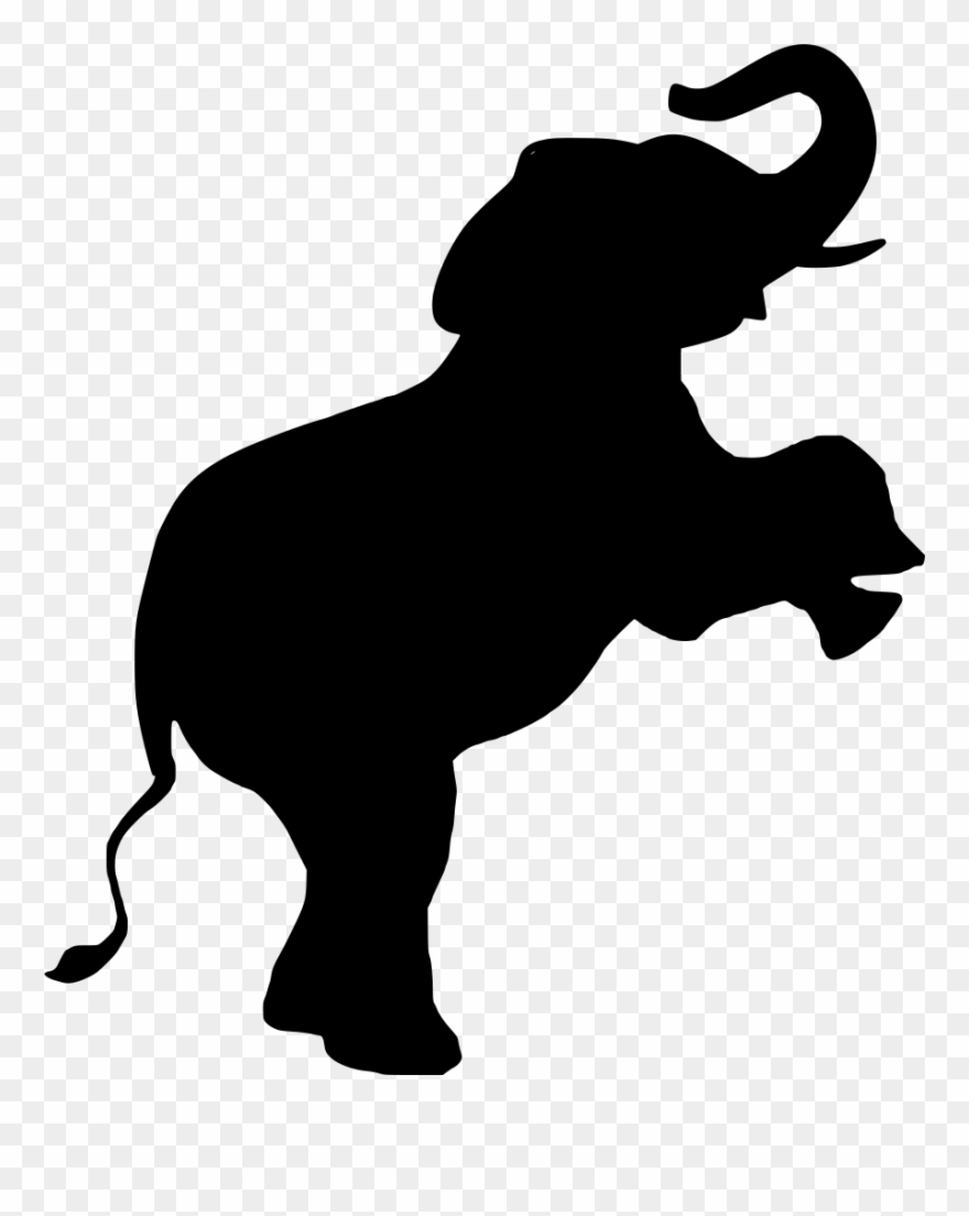 Mammal Clipart Zoo Animal - Elephant - Png Download