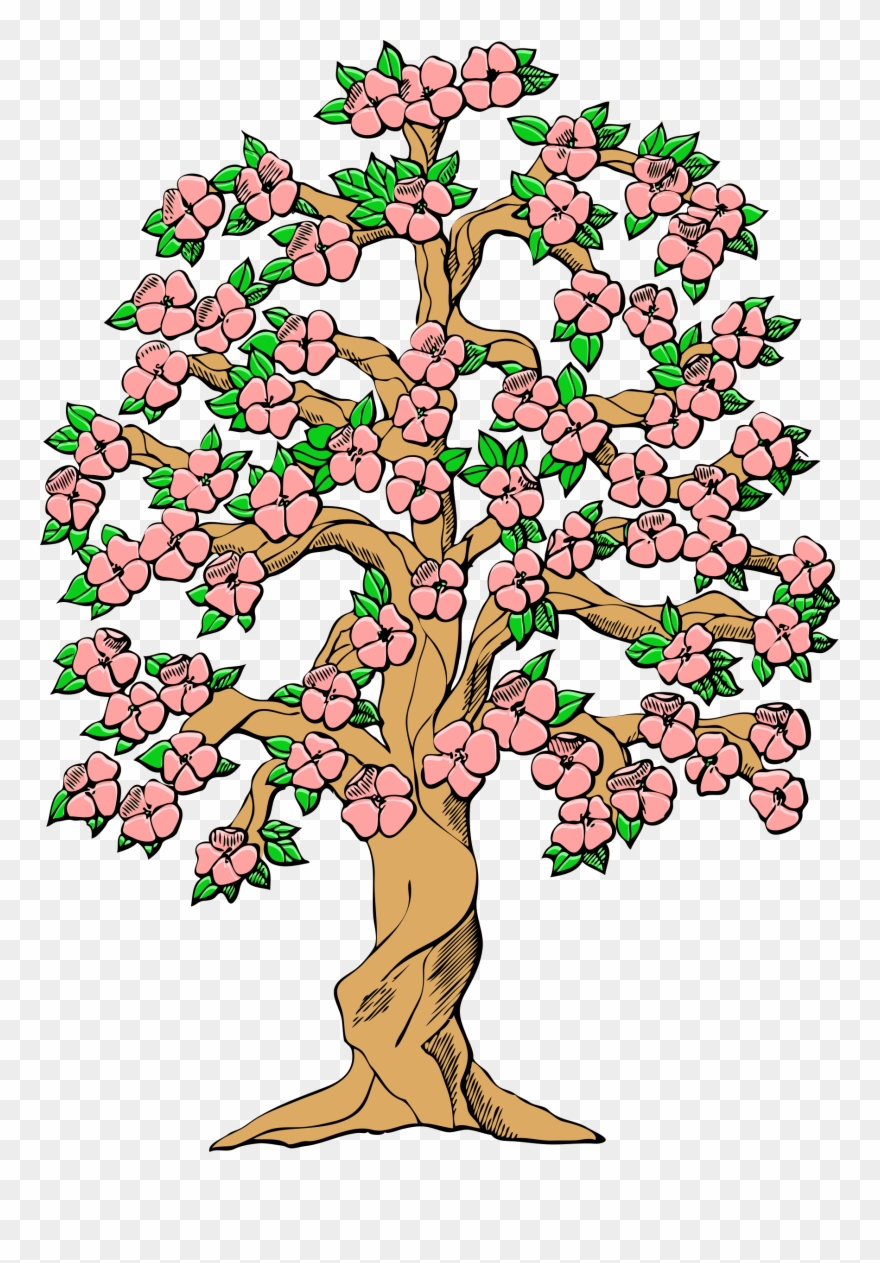 Tree Flowering Dogwood Flowering Plant Branch - Colorful Family Tree Design Clipart