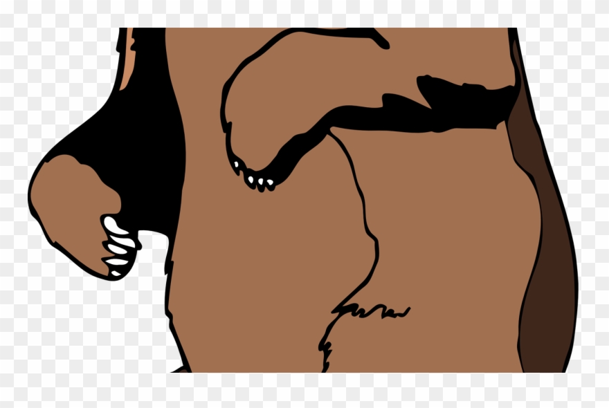 Free Cliparts Carson Dellosa Ladder, Download Free - Grizzly Bear Standing Clipart - Png Download