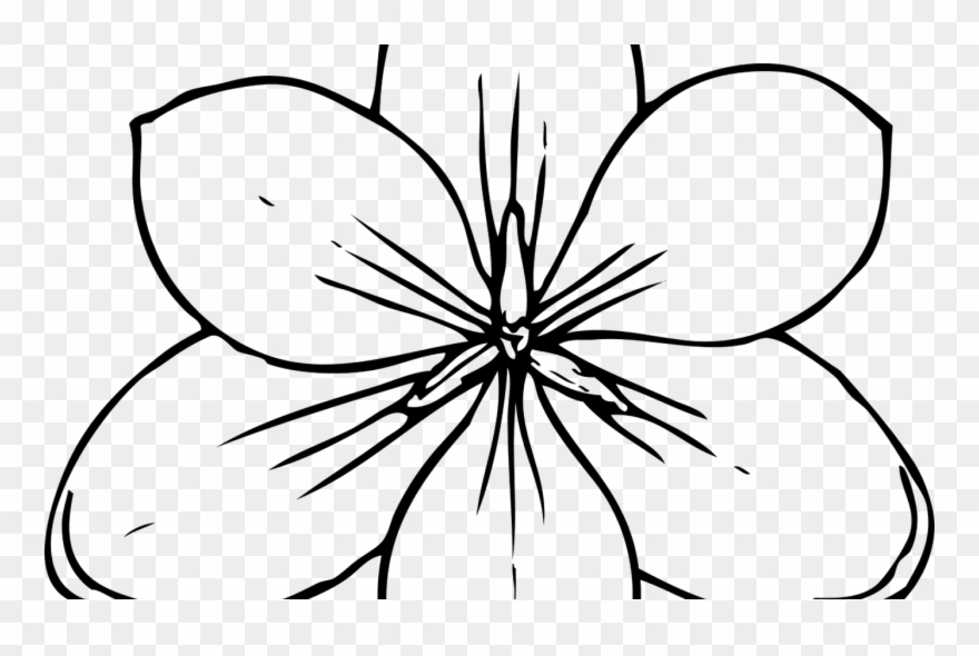 Dogwood Flower Clipart Clipart Suggest - Pumpkin Flower Coloring Pages - Png Download