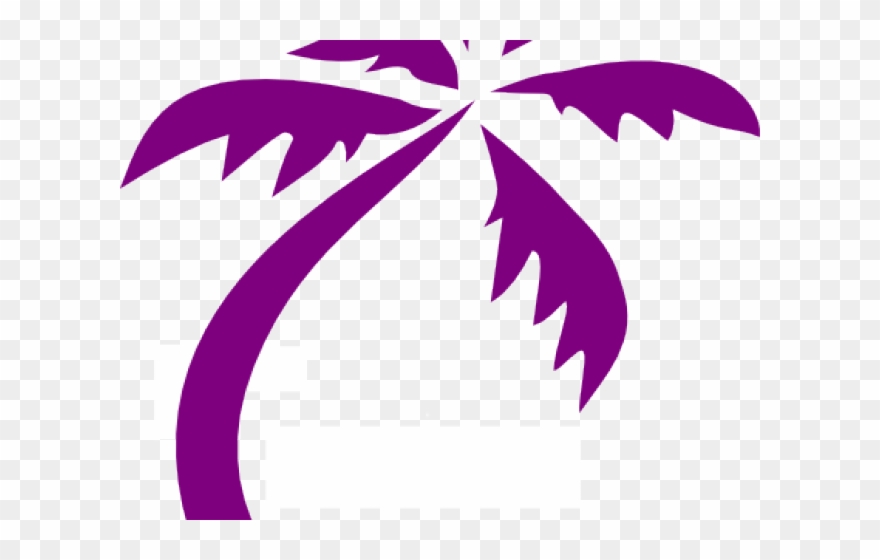 Drawn Palm Tree Curved - Green Coconut Tree Vector Transparent Clipart
