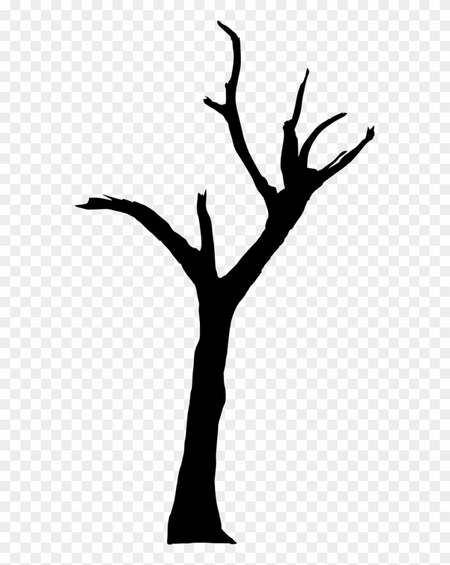 Tree Png Silhouette - Deadvlei Clipart