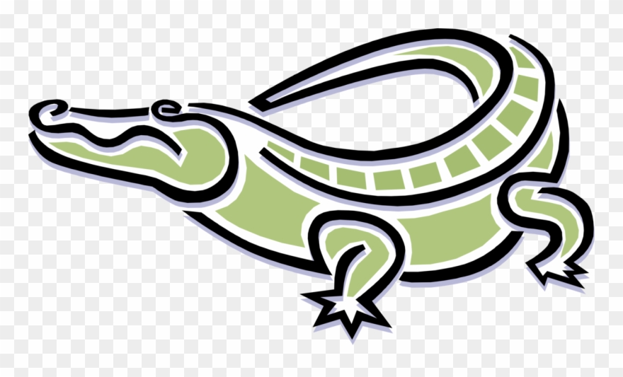 Vector Illustration Of Alligator Or Crocodile Tropical - Illustration Clipart