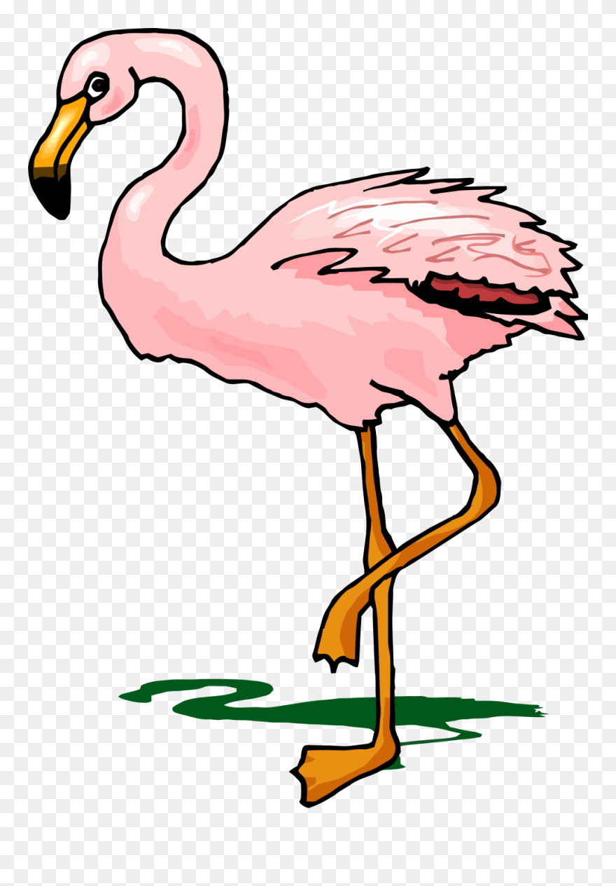 Flocking Update - Flamingo Clipart - Png Download