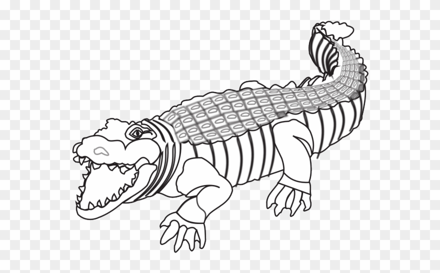 Crocodile Clipart Colour - Crocodile Black And White Png Transparent Png