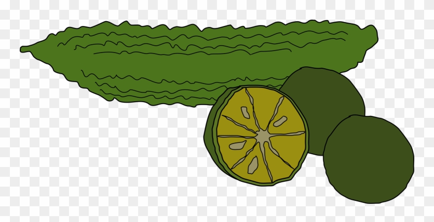 Bitter Melon Coffee Food Vegetable Pumpkin - Bitter Foods Clip Art - Png Download