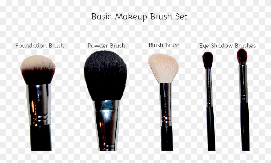 These Are The Very Bare Bones Necessities When It Comes - Makeup Brushes Clipart