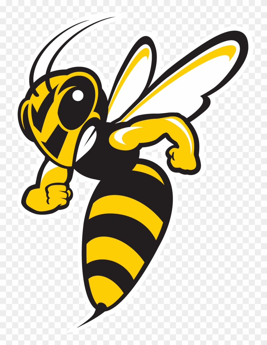 Stinger - Baldwin Wallace Yellow Jackets Clipart