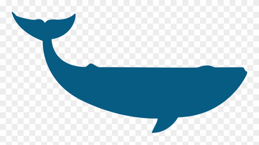 Beluga Clipart Pilot Whale - Moby Dick Vetor - Png Download