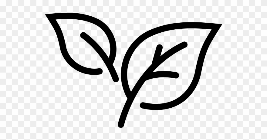 Quality Ingredients - Green Tea Icon Clipart