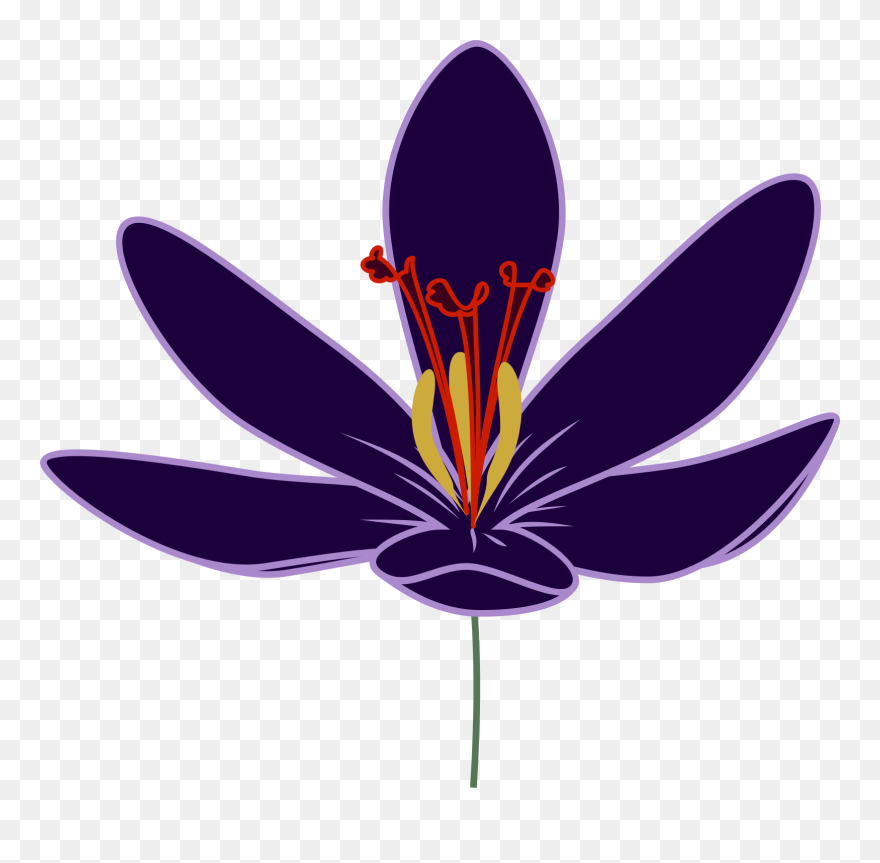 Crocus Clipart, Vector Clip Art Online, Royalty Free - Saffron Flower Clipart Png Transparent Png