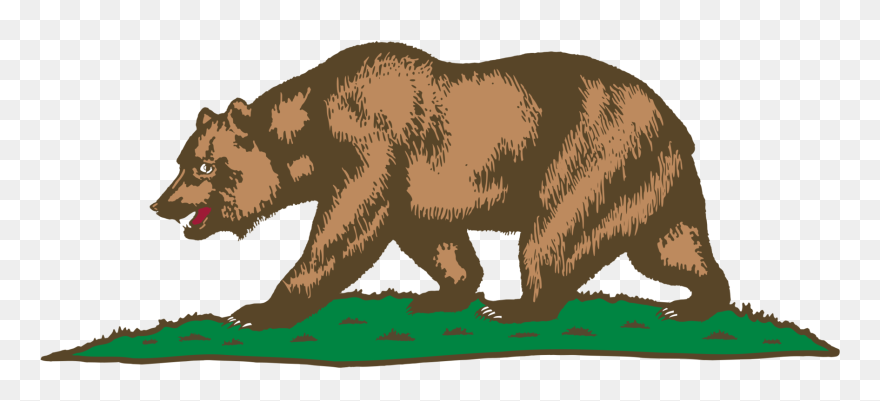 Drawn Grizzly Bear Cali Bear - California Grizzly Bear Drawing Clipart