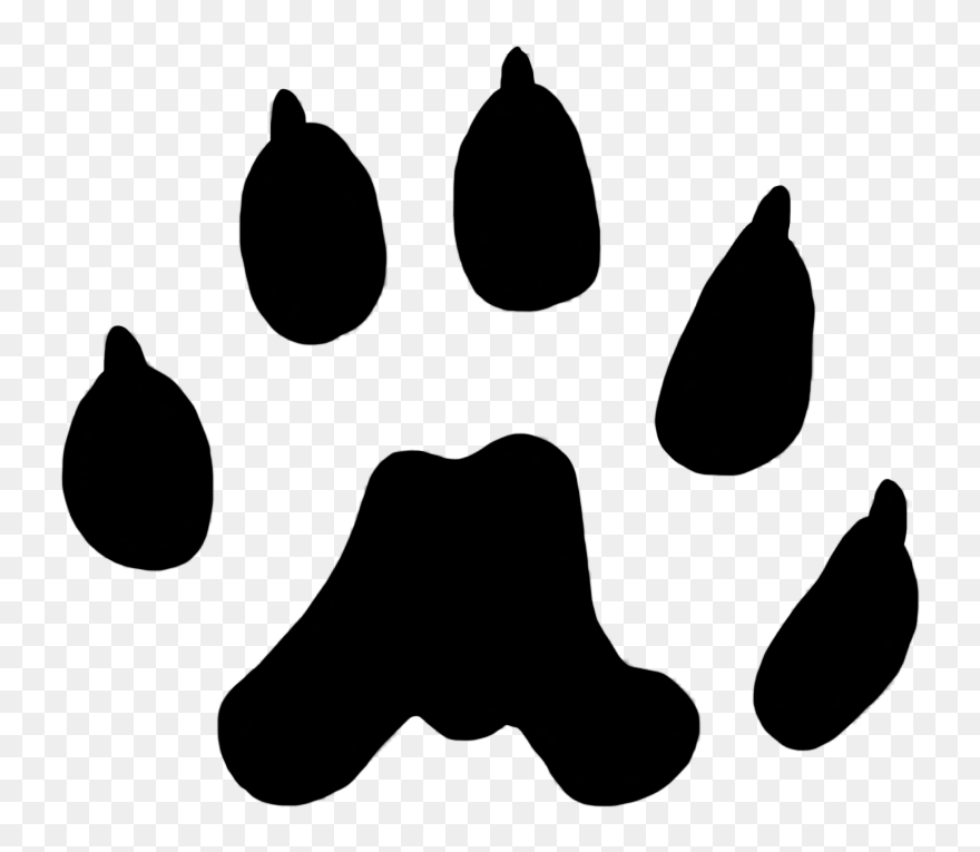 Cat Paw Prints Clipart Jpg Transparent Library Cat - Long Tailed Weasel Paw Print - Png Download