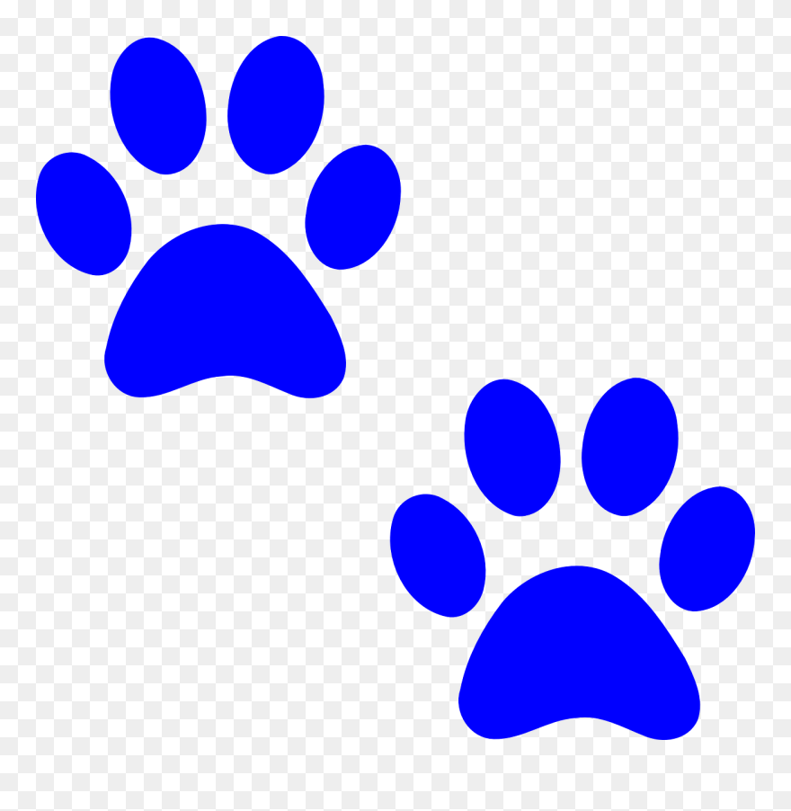 Pics Of Paw Prints - Blue Paw Print Clip Art - Png Download